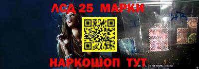 прущие грибы Сланцы