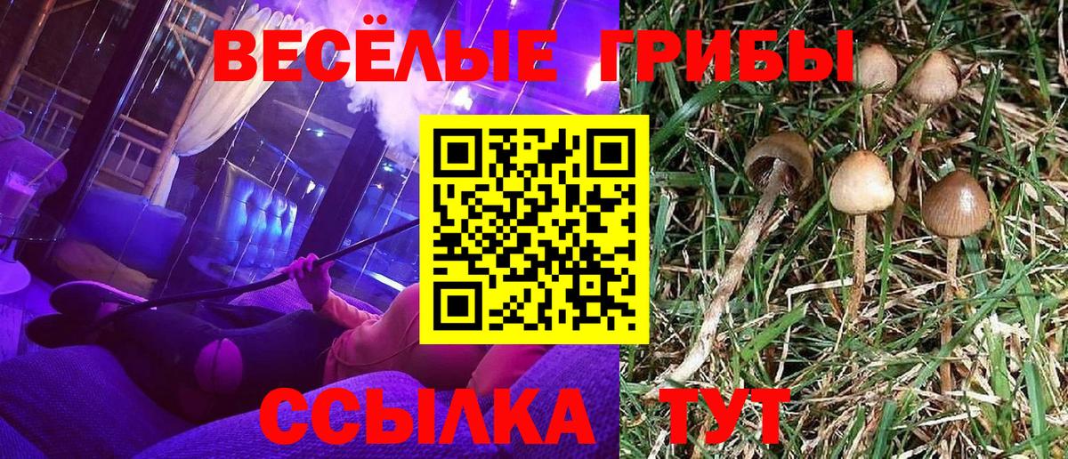 Георгиевск  Галлюциногенные грибы Psilocybine cubensis  Вход с VPN  Псилоцибиновые грибы Magic Shrooms 