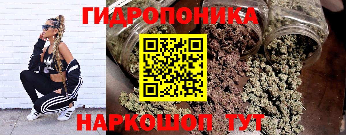 Шишки марихуана индика  Вход с VPN  Шишки марихуана семена  Георгиевск  Марихуана марихуана 